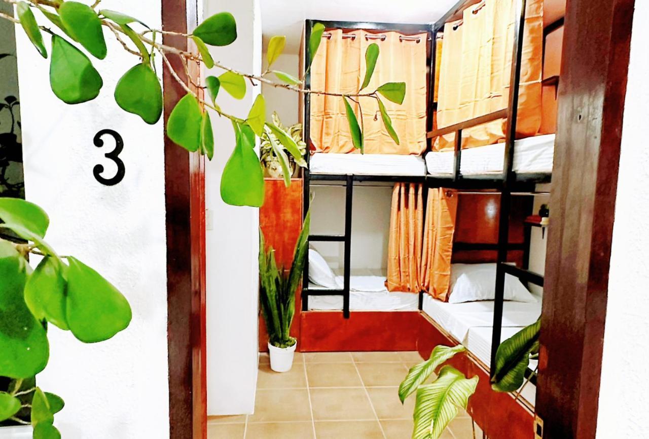 Moana Beach House โมอัลโบอัล ภายนอก รูปภาพ