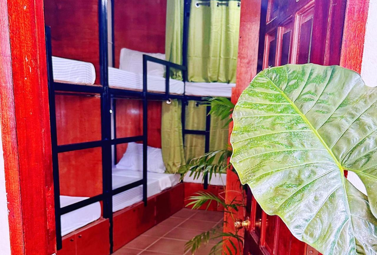 Moana Beach House โมอัลโบอัล ภายนอก รูปภาพ